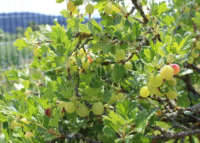 別荘 Almyssen By Interhome *